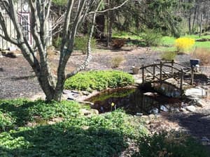 thumbnail: Property grounds