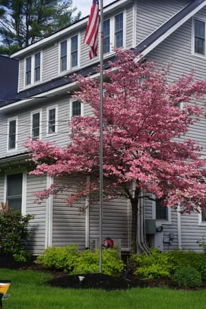 thumbnail: Exterior