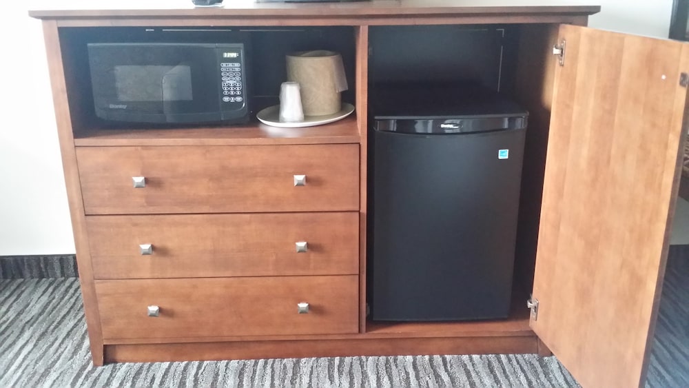 Mini-refrigerator