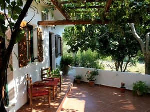 thumbnail: Terrace/patio