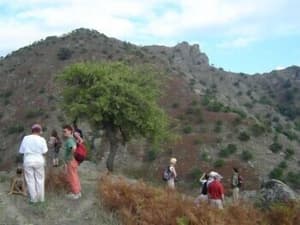 thumbnail: Hiking