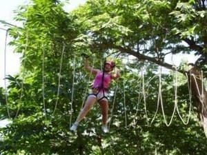thumbnail: Ropes course (team building)