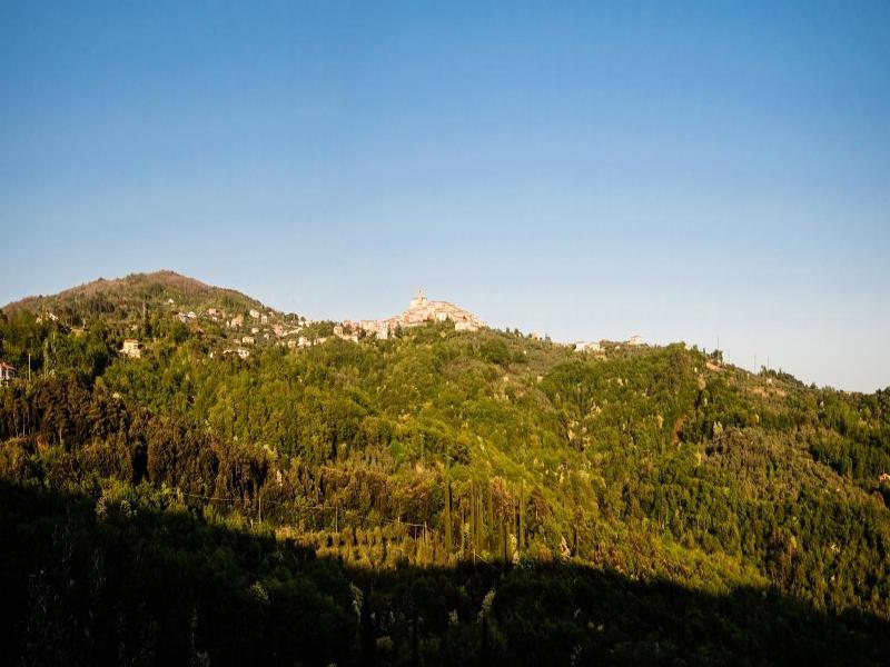 General view