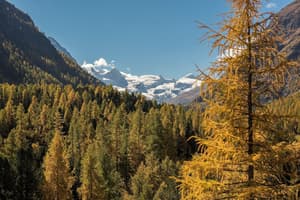thumbnail: Mountain view