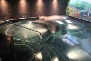 thumbnail: Indoor spa tub