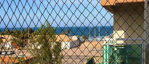 thumbnail: Property grounds