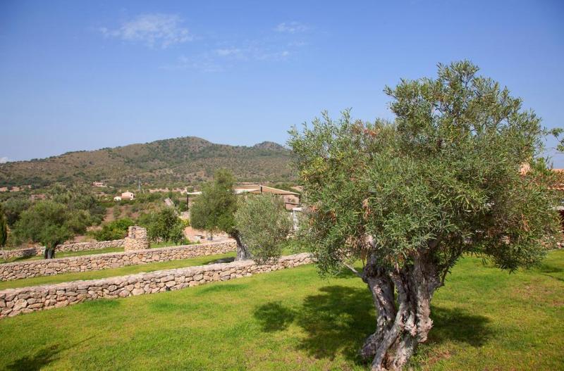 General view