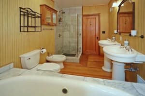 thumbnail: 62279138.jpg