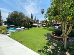 thumbnail: Garden