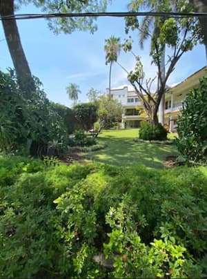 thumbnail: Garden