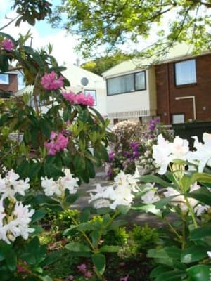 thumbnail: Garden