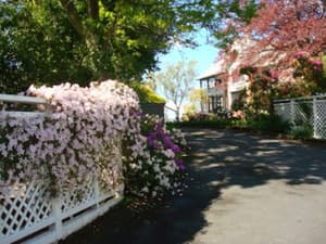 thumbnail: Garden