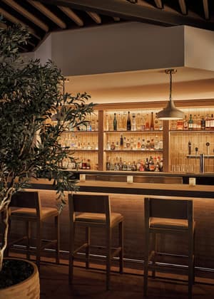 thumbnail: Bar (on property)