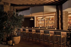 thumbnail: Bar (on property)
