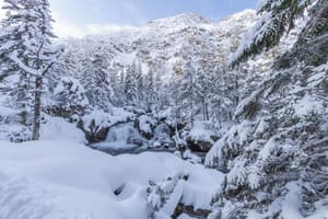 thumbnail: Snowshoeing