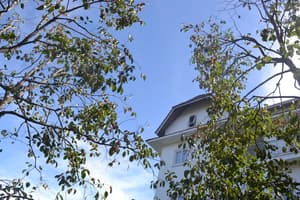 thumbnail: View from property