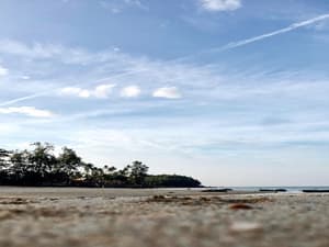 thumbnail: Beach