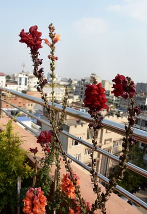 thumbnail: View from property