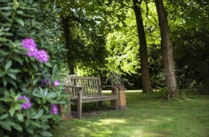 thumbnail: Garden