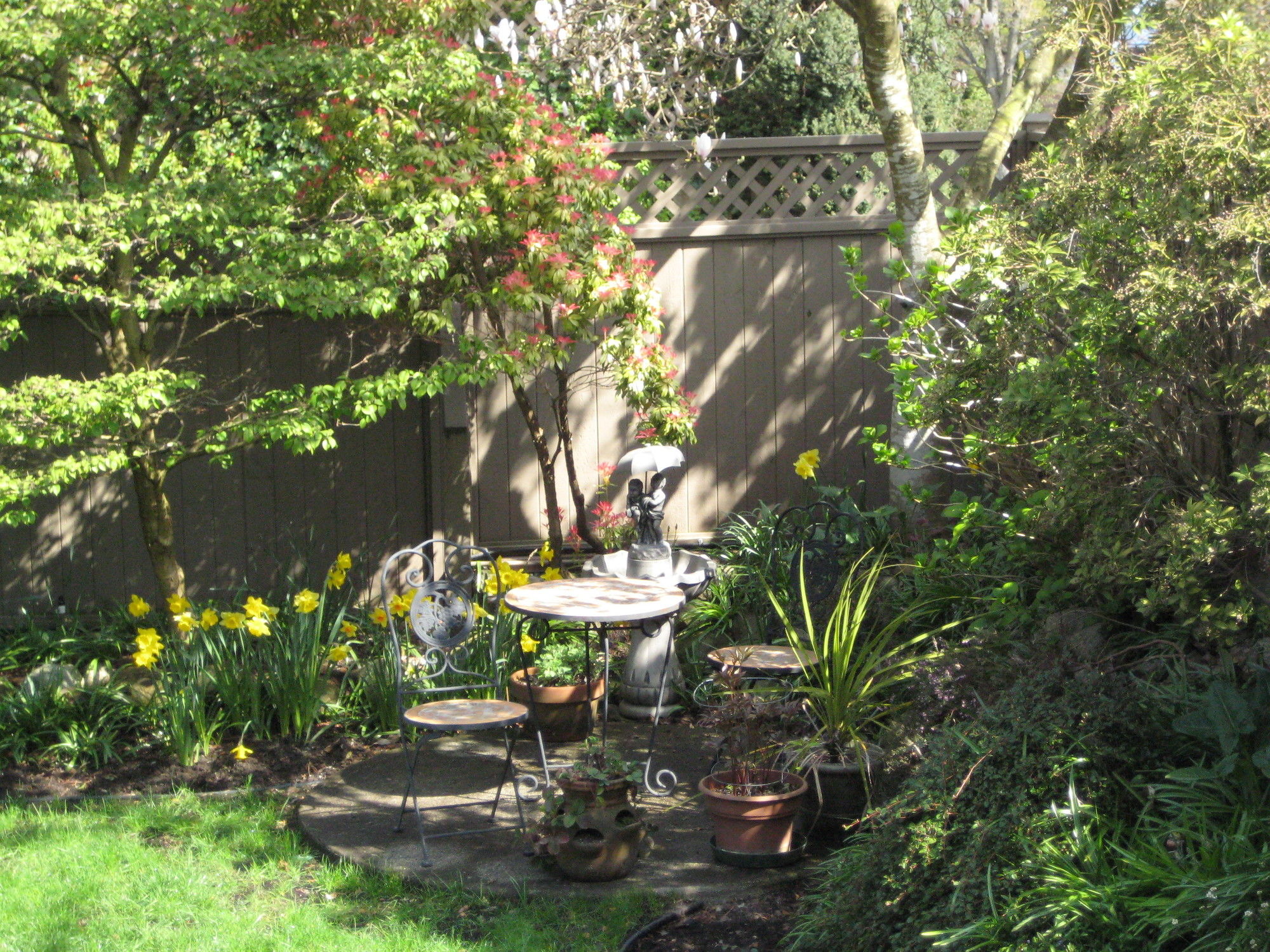 Garden