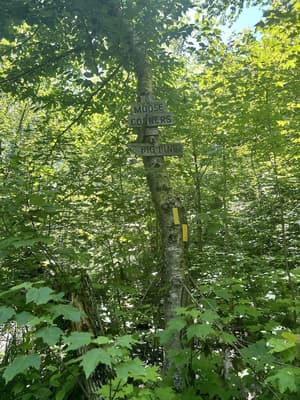 thumbnail: Hiking