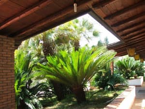 thumbnail: Garden