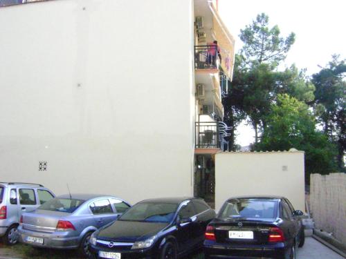 34162645.jpg