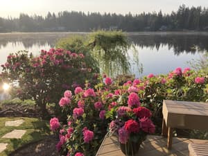 thumbnail: Terrace/patio