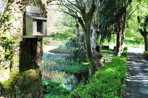 thumbnail: Property grounds