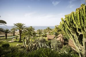 thumbnail: Garden