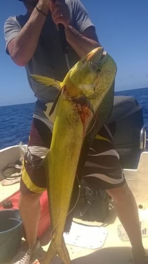 thumbnail: Fishing