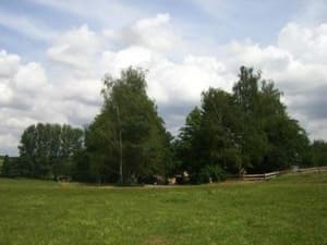 thumbnail: 61284882.jpg