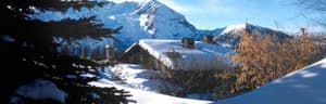 thumbnail: General view