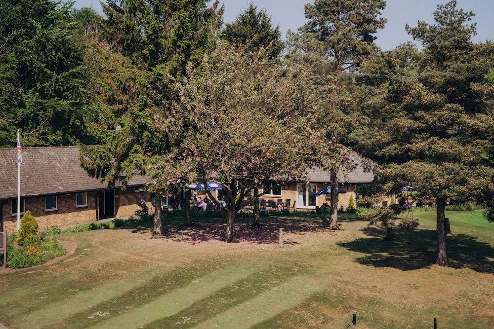 Golf view