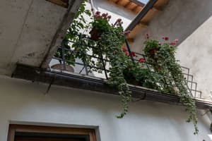 thumbnail: Exterior