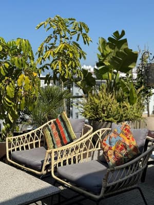 thumbnail: Terrace/patio