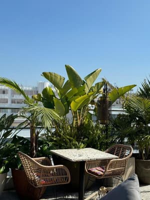 thumbnail: Terrace/patio