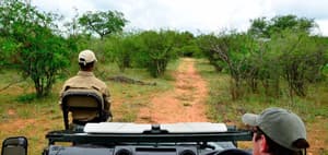 thumbnail: Safari