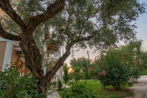 thumbnail: General view