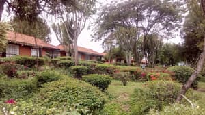 thumbnail: Garden