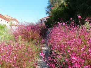 thumbnail: Exterior
