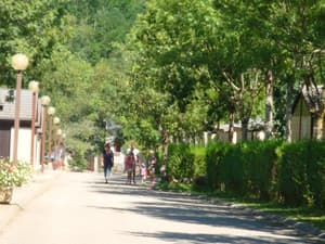thumbnail: Property grounds