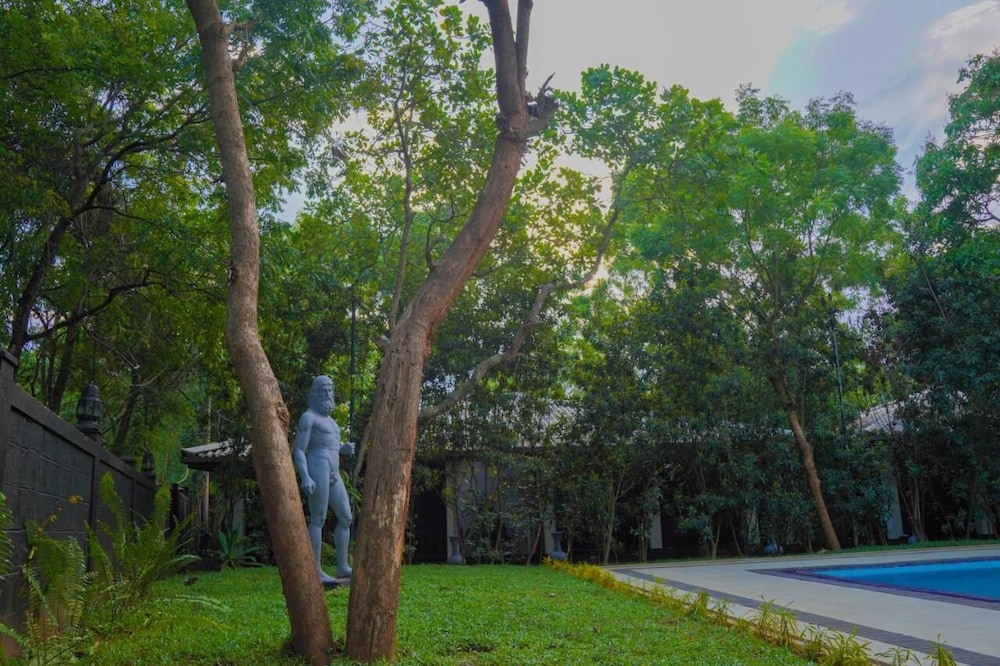 Garden view