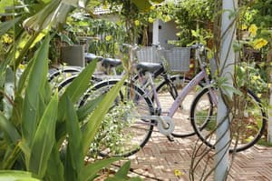 thumbnail: Bicycling