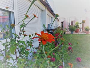 thumbnail: General view