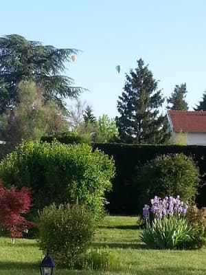 thumbnail: General view