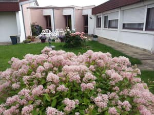 thumbnail: General view
