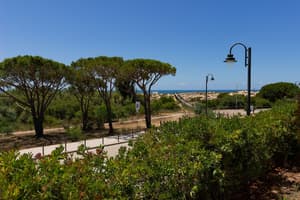 thumbnail: View from room