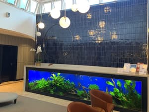 thumbnail: Interior