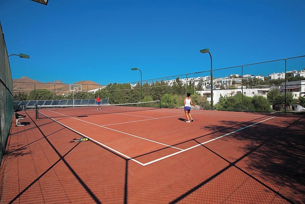 Tennis court
